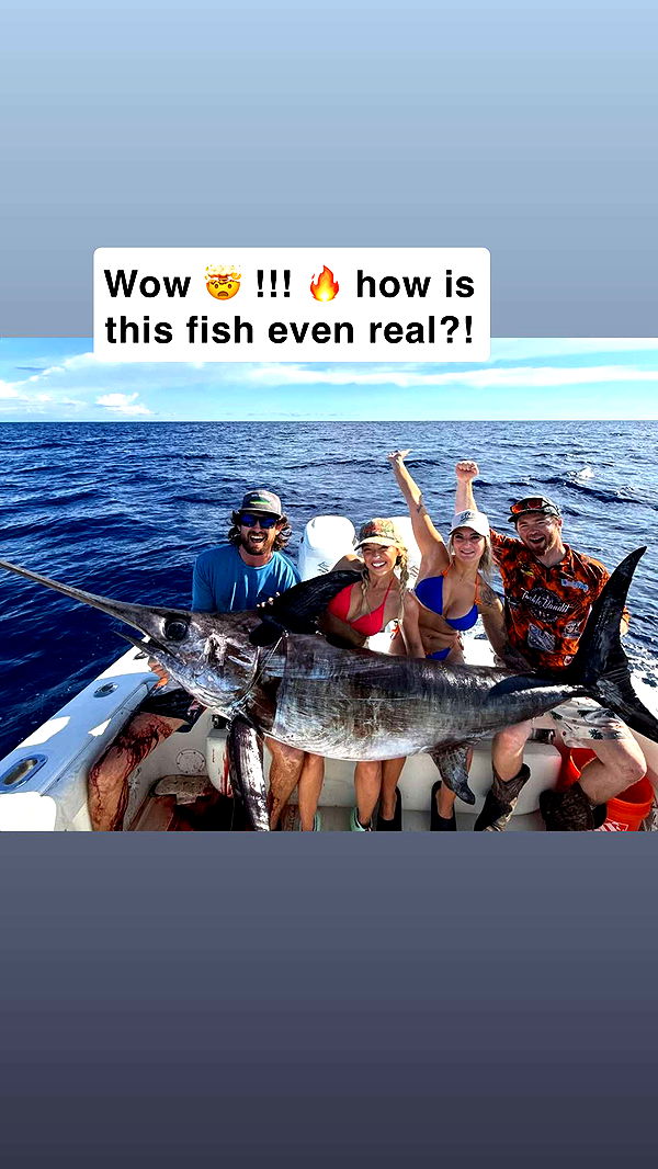 alisonbowles image ~ Altpins