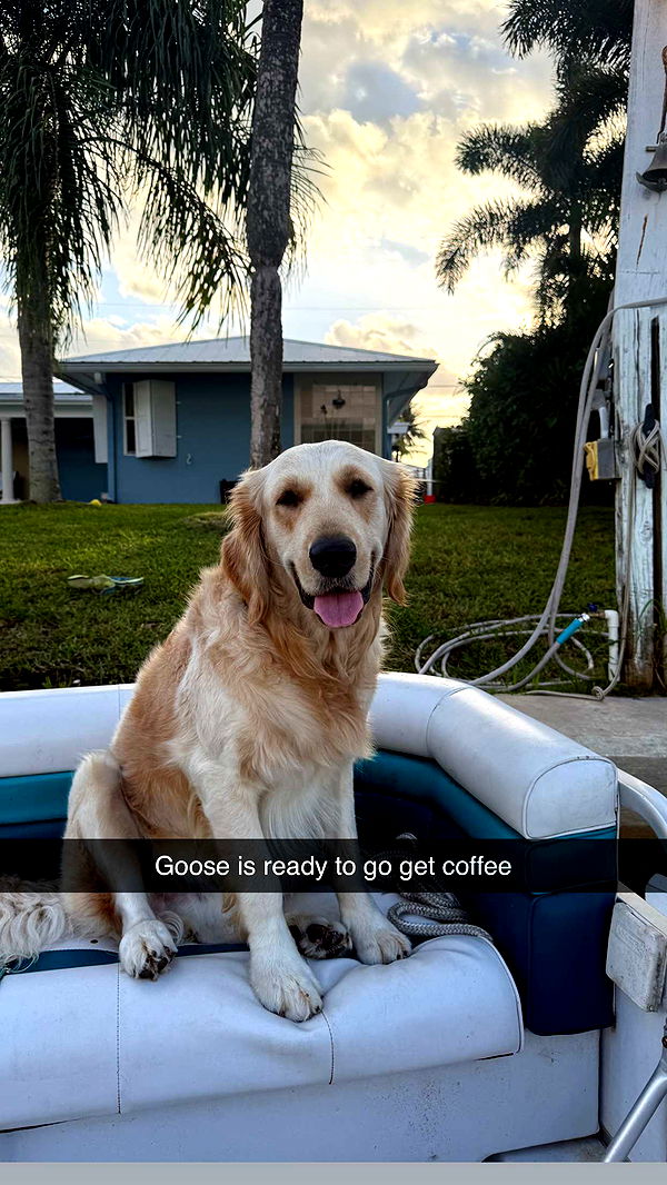 alisonbowles image ~ Altpins