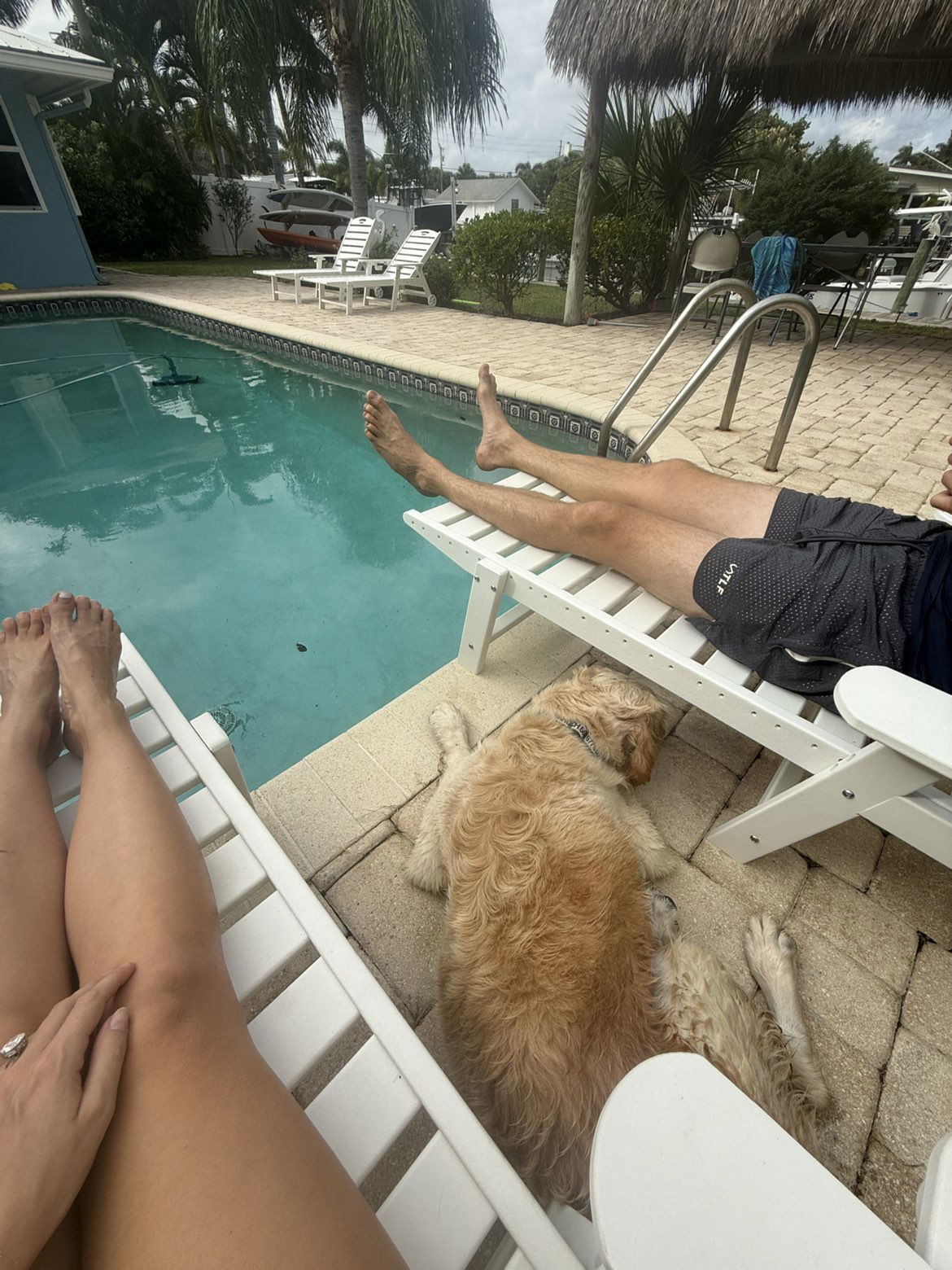 alisonbowles snapchat image archive image