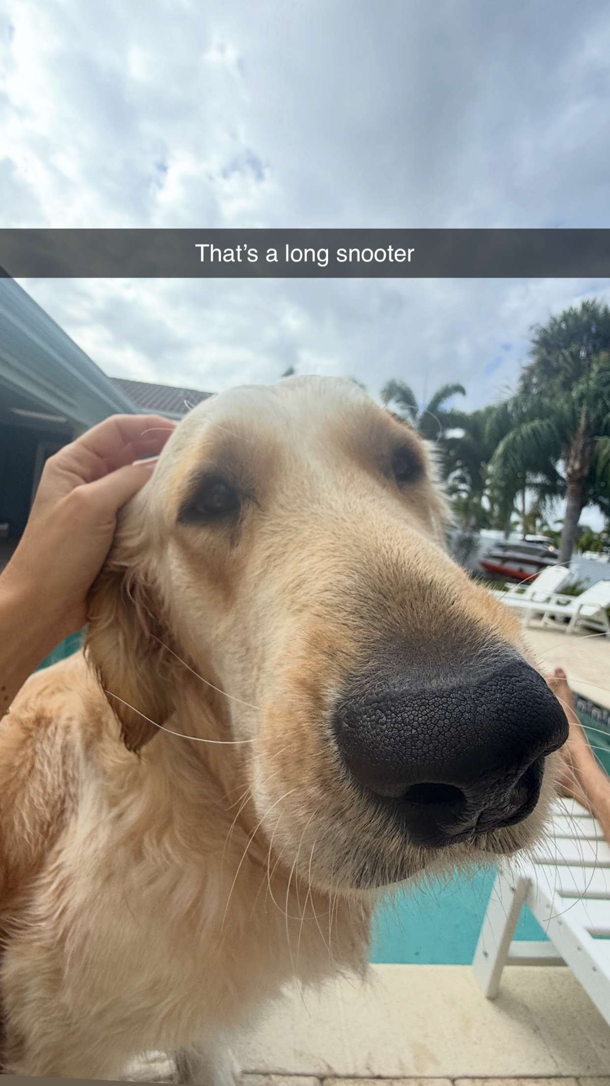 alisonbowles snapchat image archive image