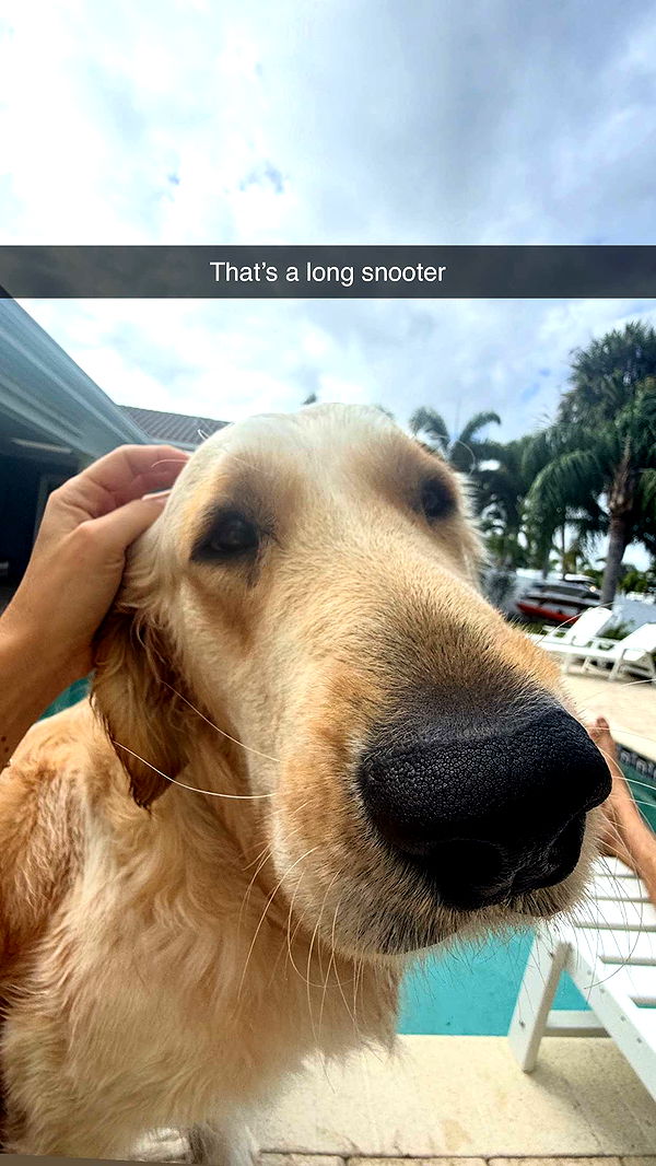 alisonbowles image ~ Altpins