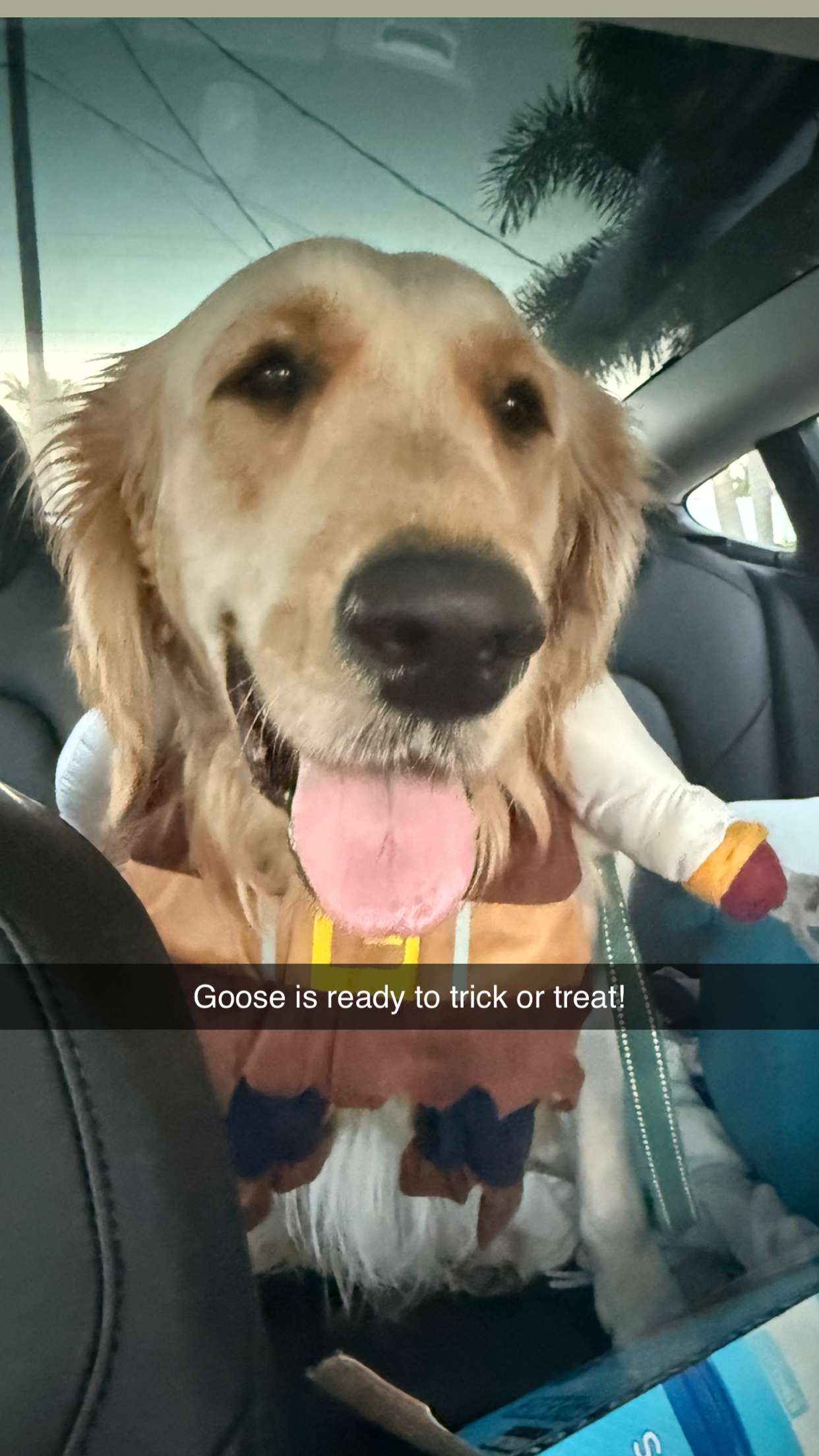 alisonbowles snapchat image archive image