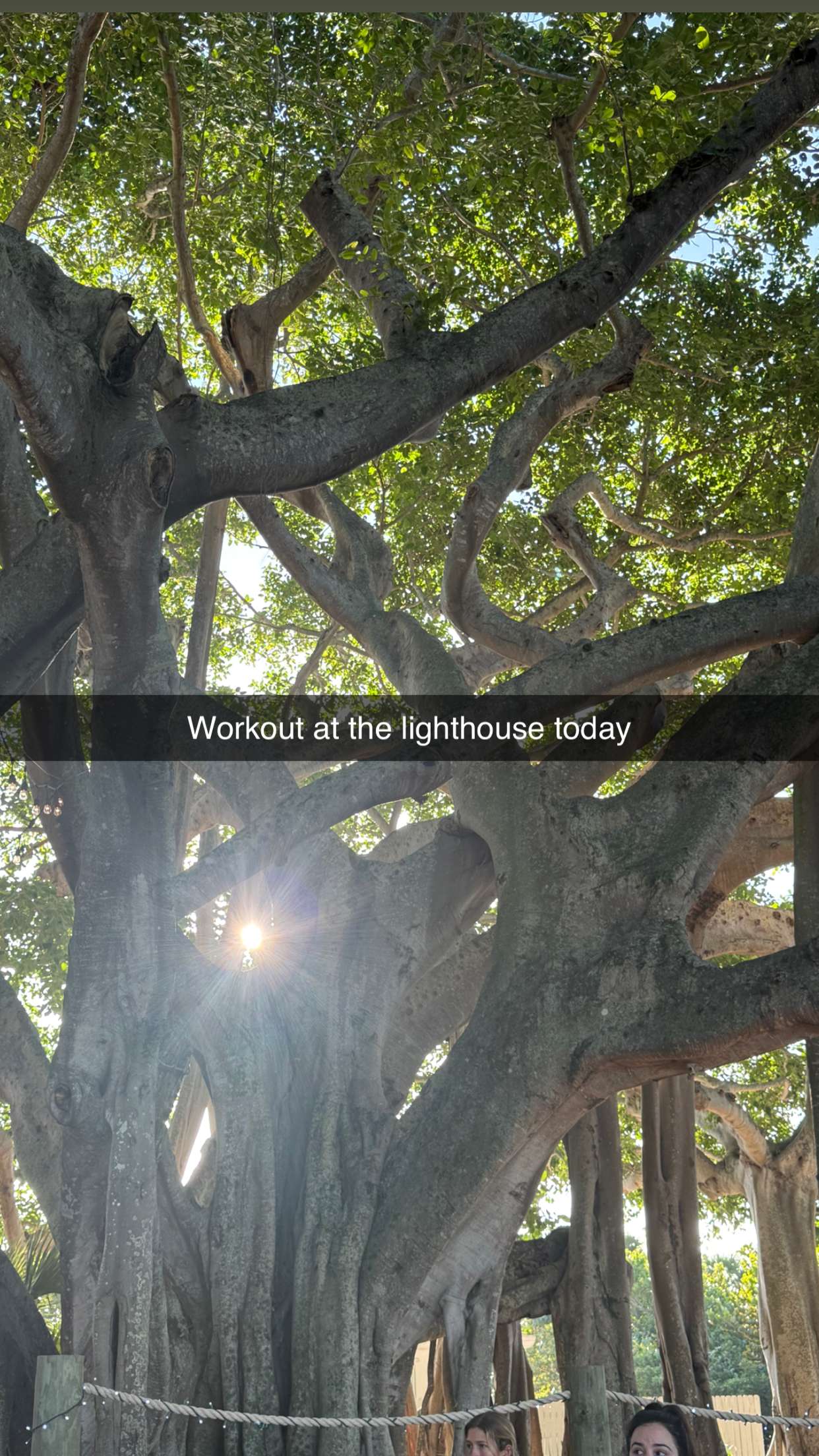 alisonbowles snapchat image archive image