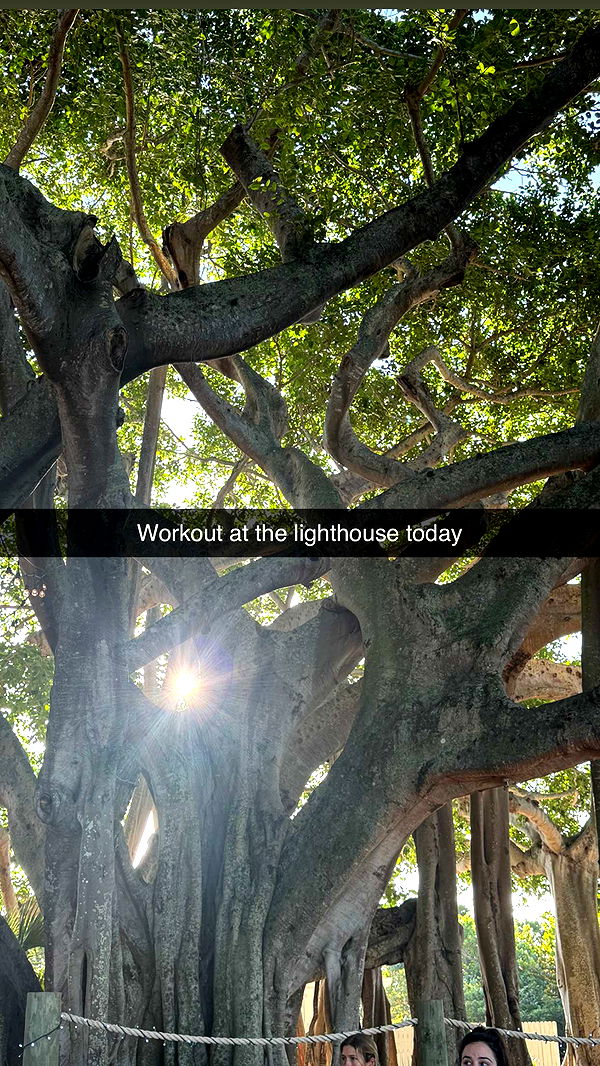 alisonbowles image ~ Altpins