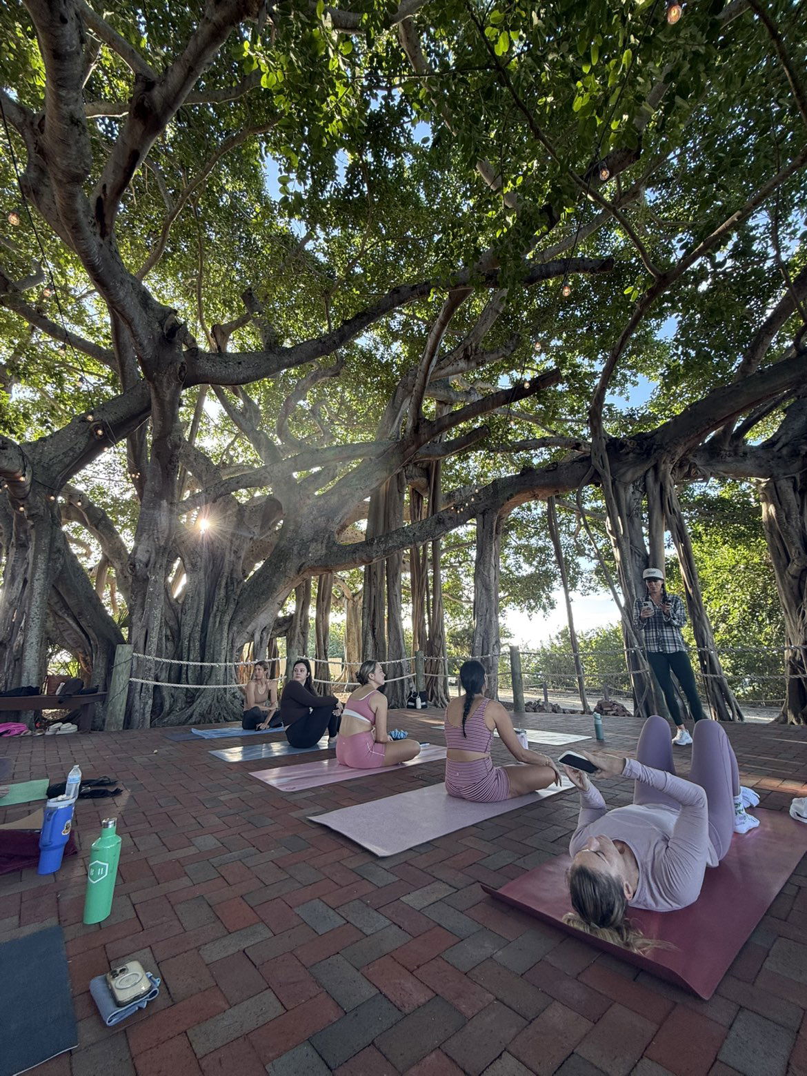 alisonbowles snapchat image archive image