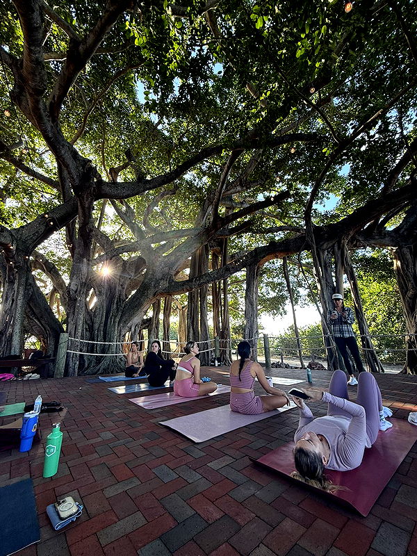 alisonbowles image ~ Altpins