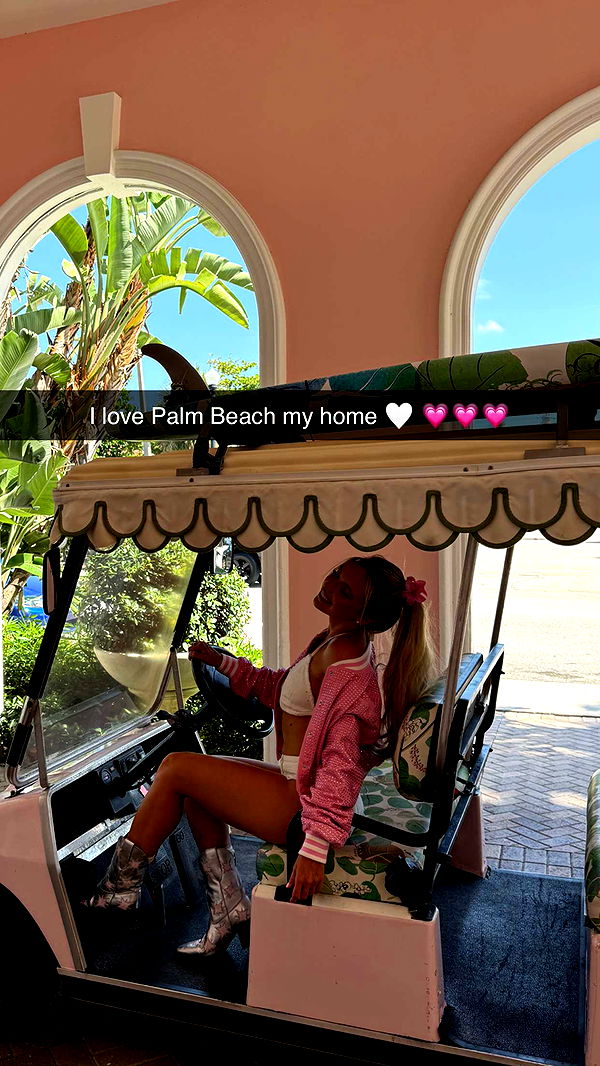 alisonbowles image ~ Altpins