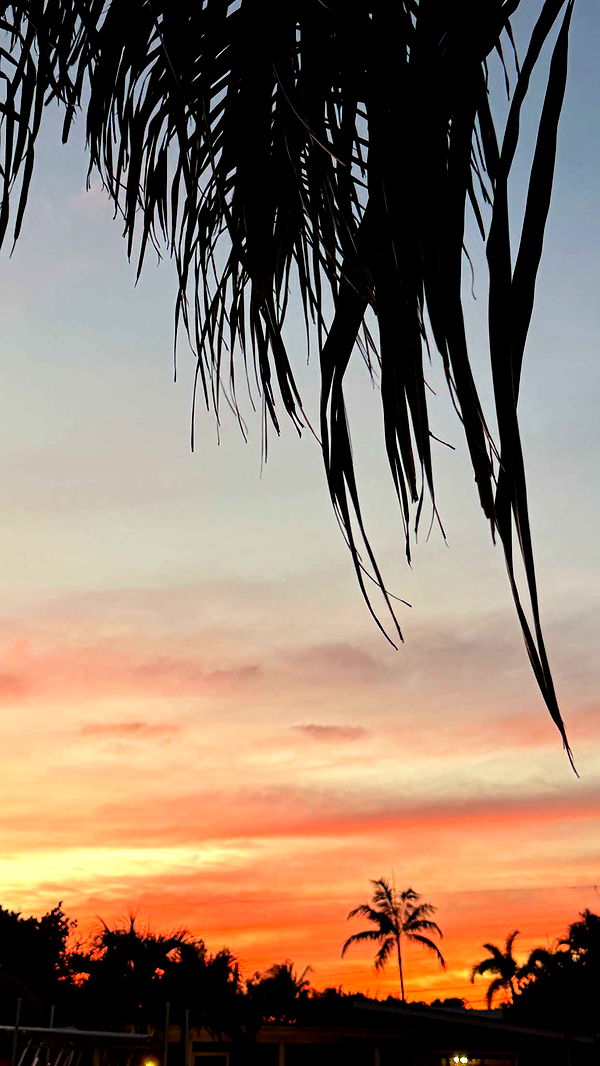 alisonbowles image ~ Altpins