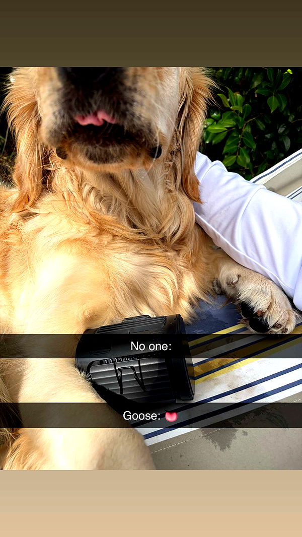 alisonbowles image ~ Altpins