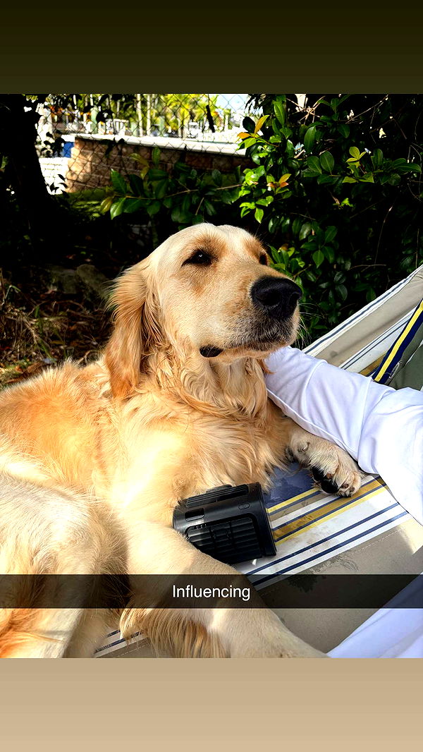 alisonbowles image ~ Altpins