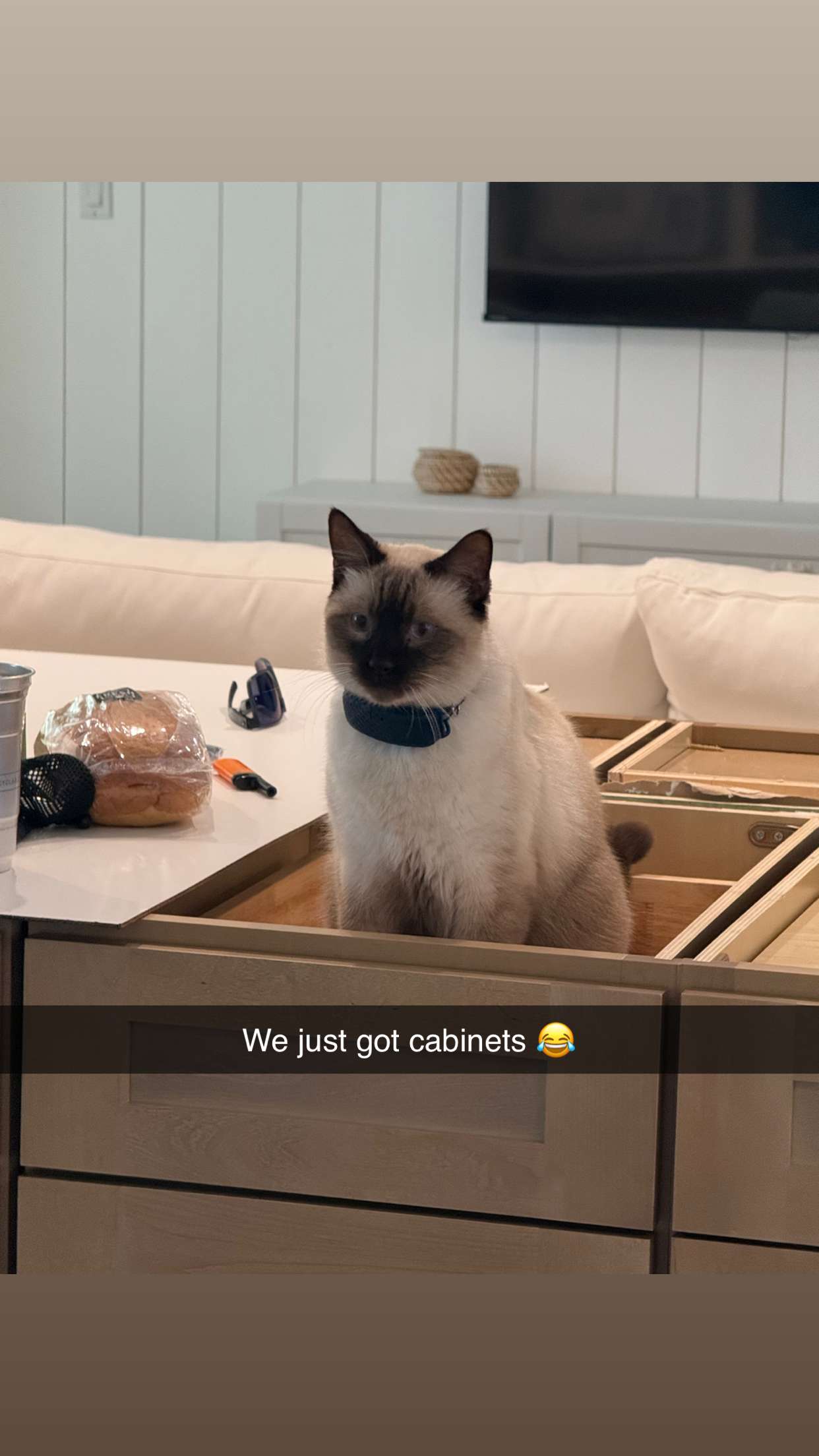 alisonbowles snapchat image archive image