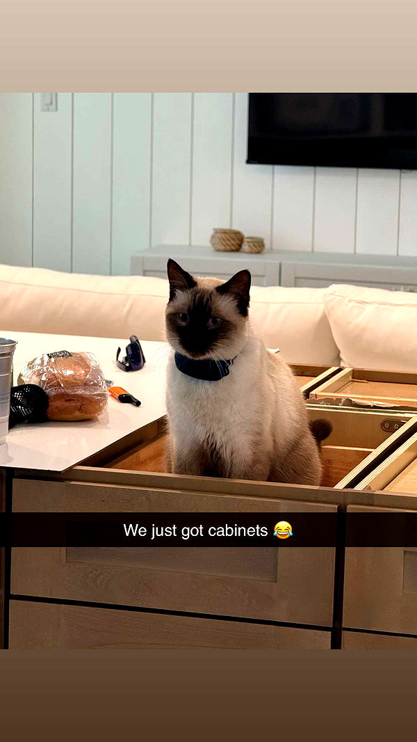 alisonbowles image ~ Altpins