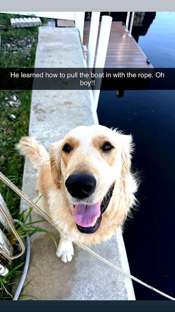 alisonbowles image ~ Altpins