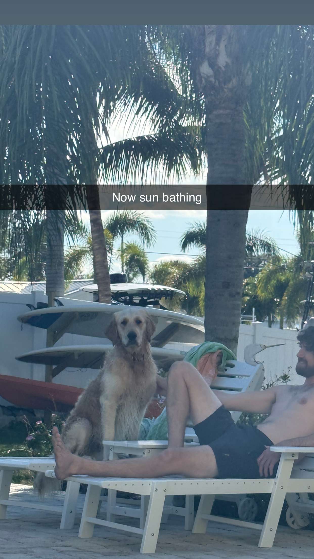 alisonbowles snapchat image archive image