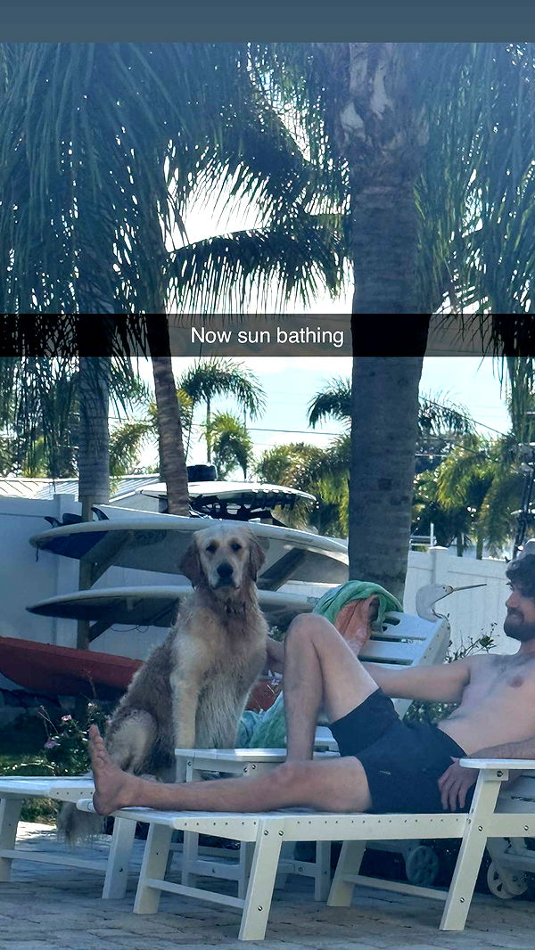 alisonbowles image ~ Altpins