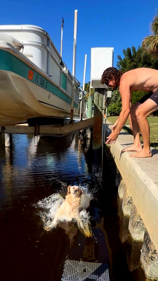 alisonbowles image ~ Altpins