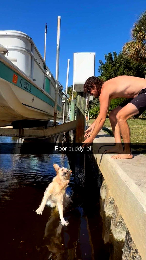 alisonbowles image ~ Altpins