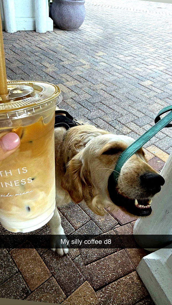 alisonbowles image ~ Altpins