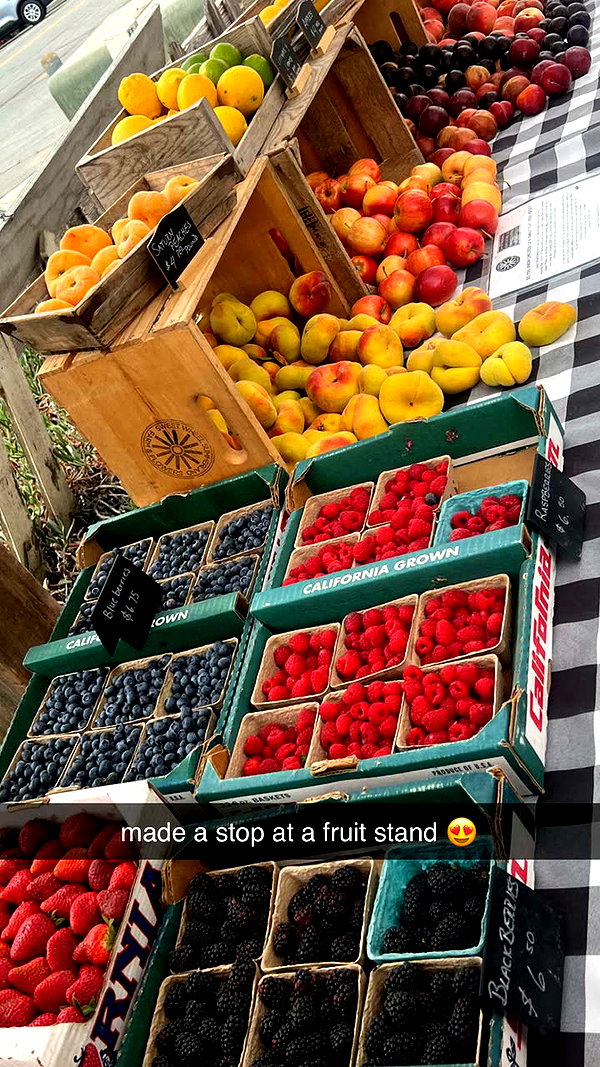 alliebear snapchat image archive image