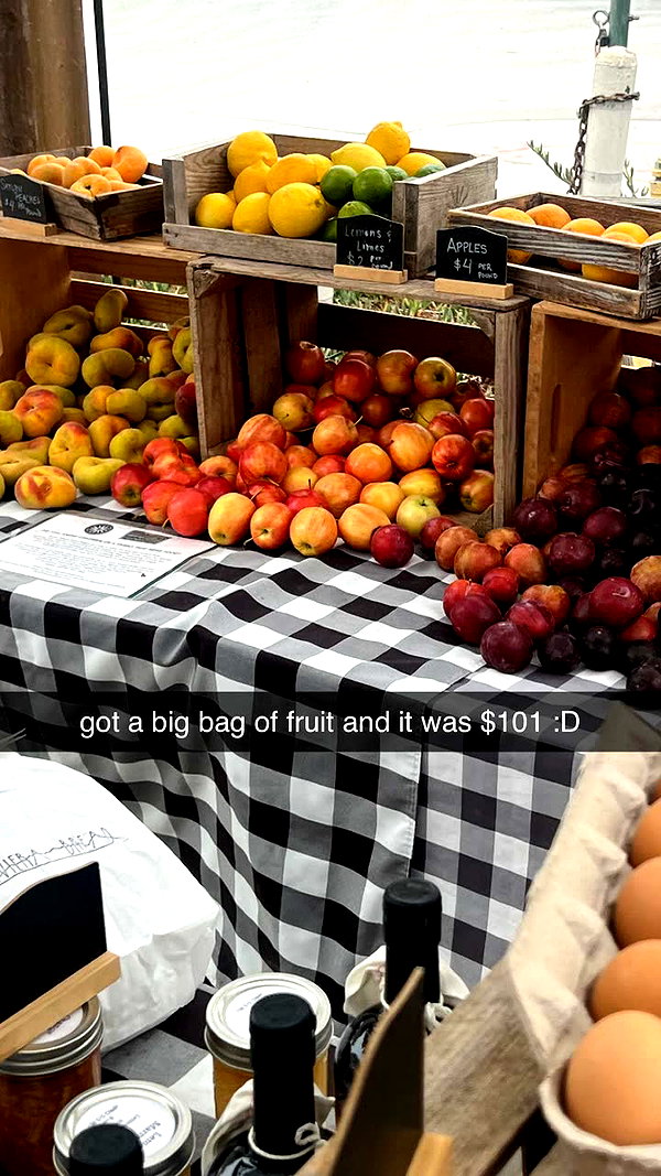 alliebear snapchat image archive image