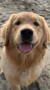 alliebear Altpins Profile Picture