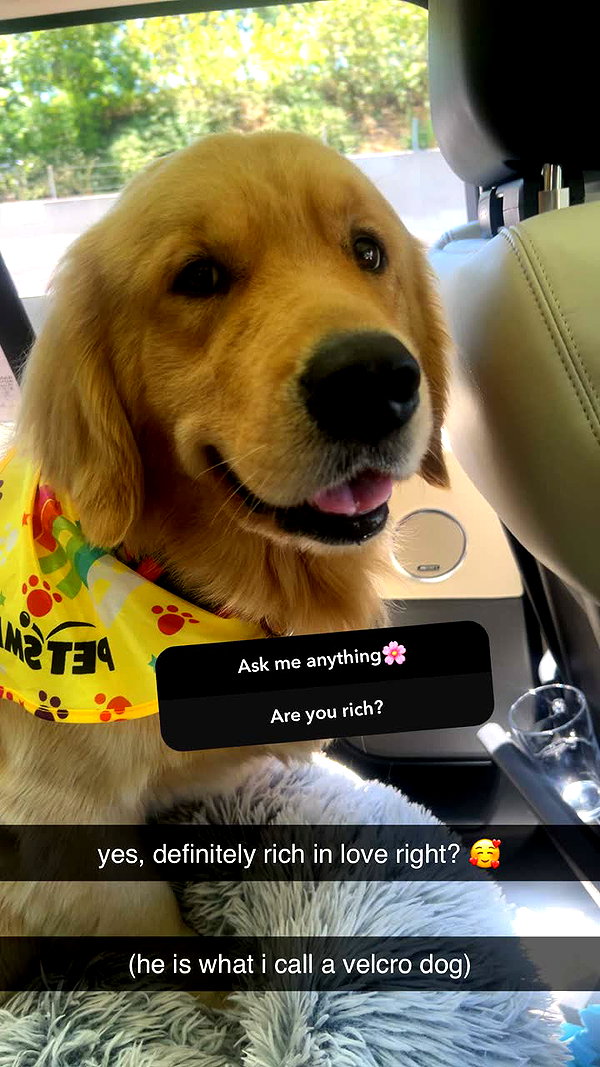 alliebear snapchat image archive image
