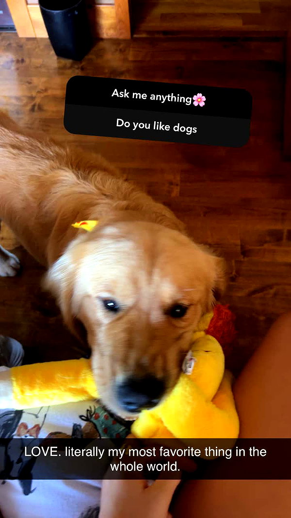 alliebear snapchat image archive image