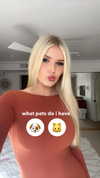 alliebear Altpins Profile Picture