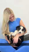 alliebear Altpins Profile Picture
