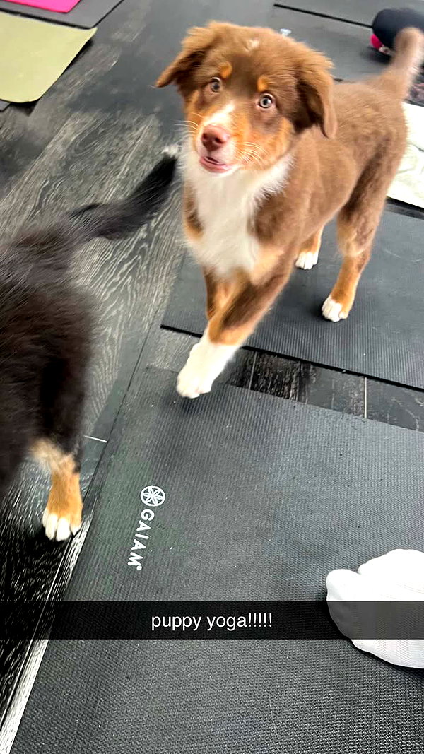 alliebear snapchat image archive image