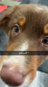alliebear Altpins Profile Picture
