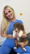alliebear Altpins Profile Picture