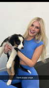 alliebear Altpins Profile Picture