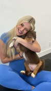 alliebear Altpins Profile Picture