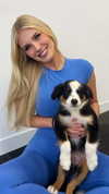 alliebear Altpins Profile Picture