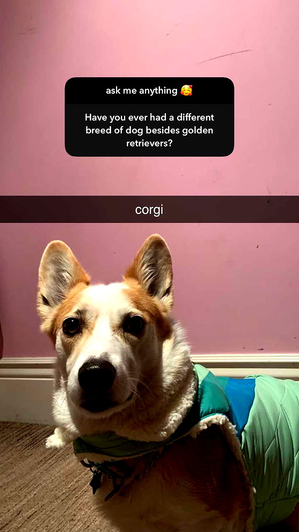 alliebear snapchat image archive image