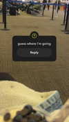 alliebear Altpins Profile Picture