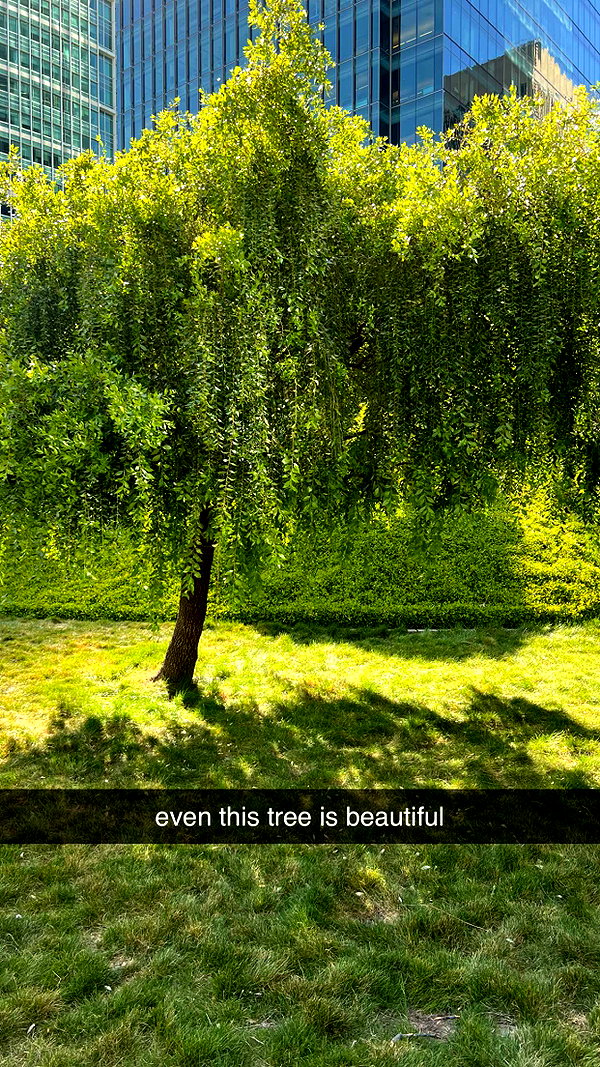 alliebear snapchat image archive image