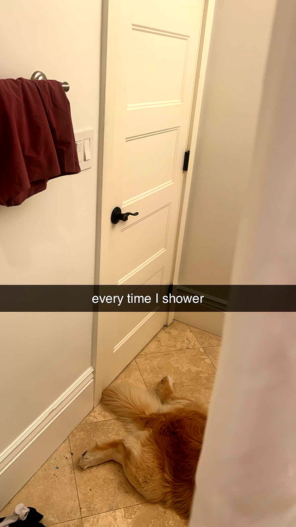 alliebear snapchat image archive image