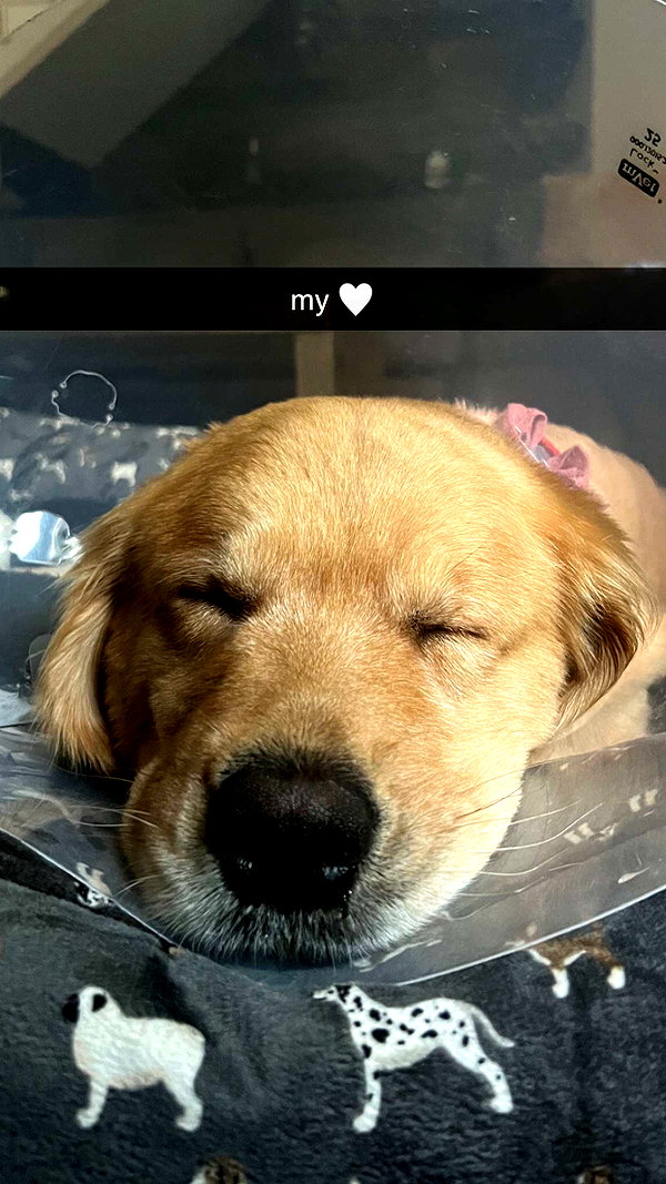 alliebear snapchat image archive image