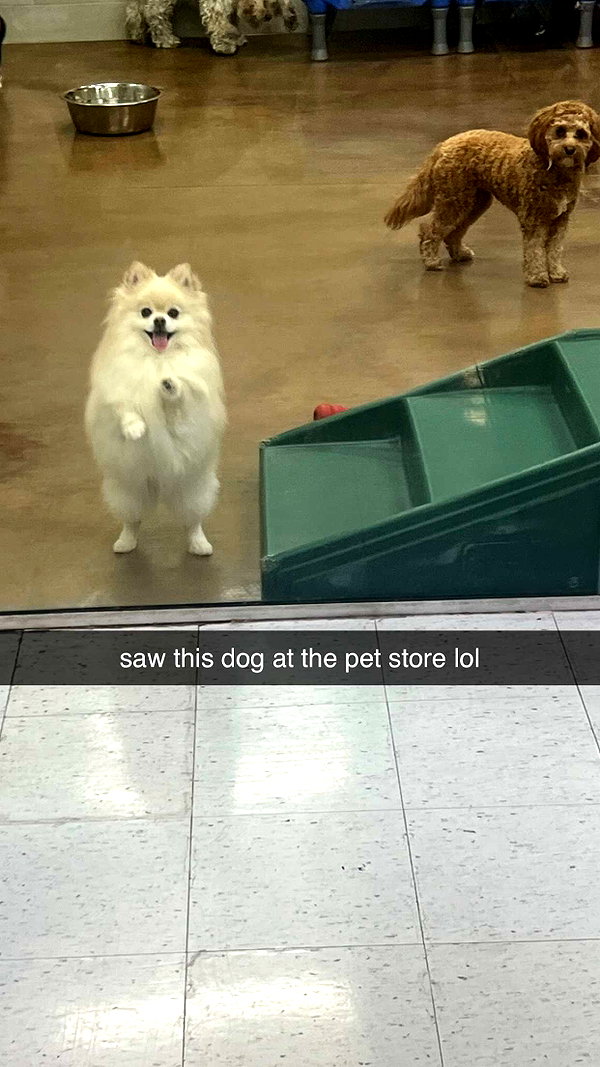 alliebear snapchat image archive image