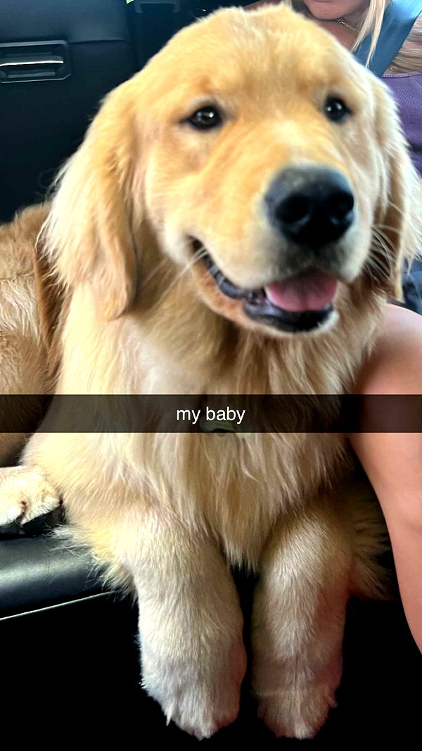 alliebear snapchat image archive image