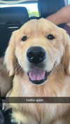 alliebear Altpins Profile Picture