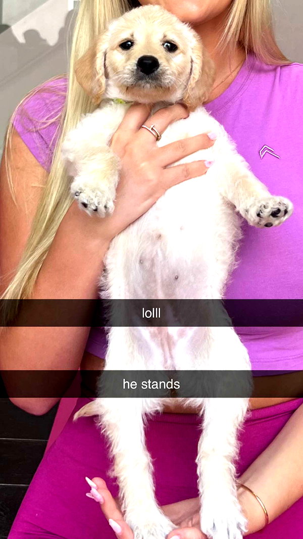 alliebear snapchat image archive image