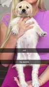 alliebear Altpins Profile Picture