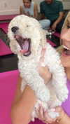alliebear Altpins Profile Picture