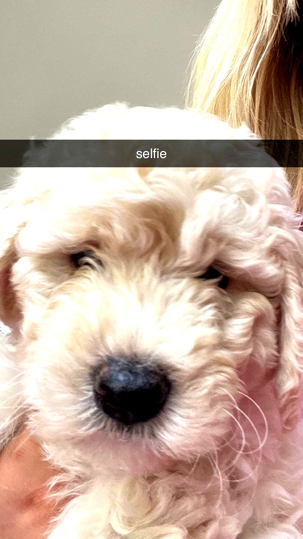 alliebear snapchat image archive image