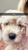 alliebear Altpins Profile Picture