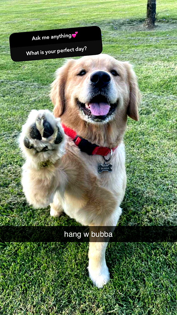 alliebear snapchat image archive image