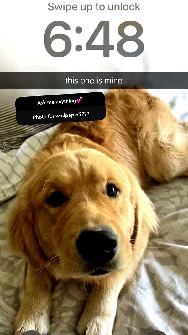 alliebear snapchat image archive image
